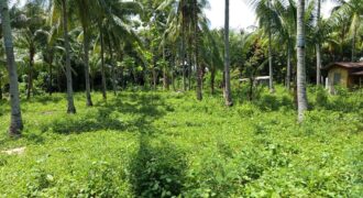 FOR SALE‼️ – BUILDING LOT CLOSE TO DAUIN TOWN