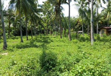 FOR SALE‼️ – BUILDING LOT CLOSE TO DAUIN TOWN