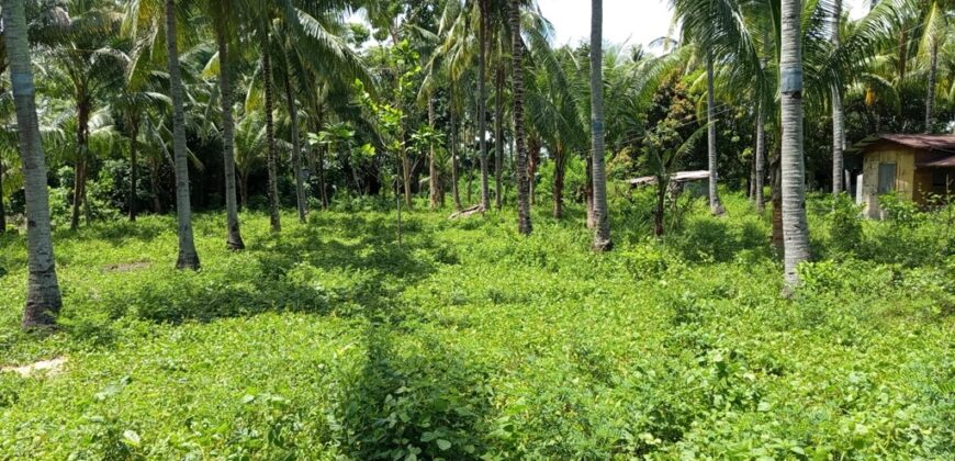 FOR SALE‼️ – BUILDING LOT CLOSE TO DAUIN TOWN