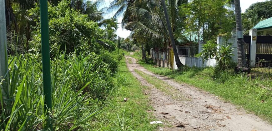 FOR SALE‼️ – BUILDING LOT CLOSE TO DAUIN TOWN