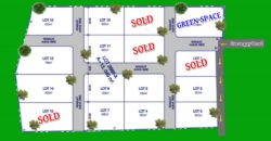 NEW SUBDIVIDED LOTS FOR SALE IN DAUIN 