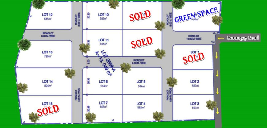 NEW SUBDIVIDED LOTS FOR SALE IN DAUIN 