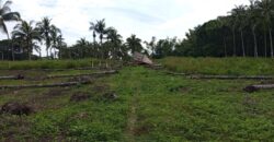 NEW SUBDIVIDED LOTS FOR SALE IN DAUIN 