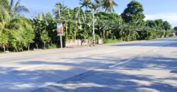 FOR SALE‼️   COMMERCIAL LOT ALONG THE NATIONAL HIGHWAY