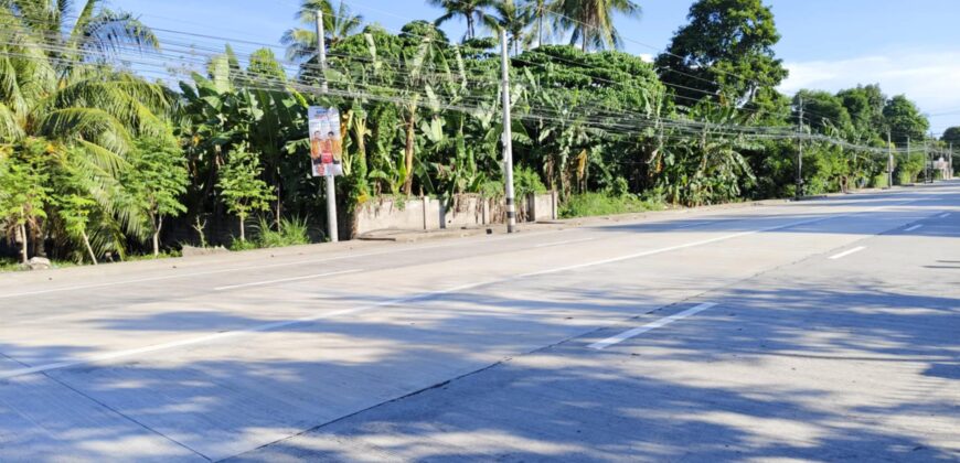 FOR SALE‼️   COMMERCIAL LOT ALONG THE NATIONAL HIGHWAY