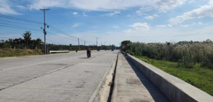 📣 HIGHWAY LOT FOR SALE IN ZAMBOANGUITA‼️