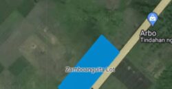 📣 HIGHWAY LOT FOR SALE IN ZAMBOANGUITA‼️