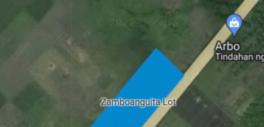 📣 HIGHWAY LOT FOR SALE IN ZAMBOANGUITA‼️