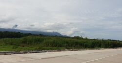 📣 HIGHWAY LOT FOR SALE IN ZAMBOANGUITA‼️