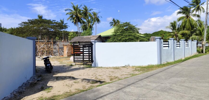 NEW CONSTRUCTION HOME FOR SALE IN ZAMBOANGUITA‼️