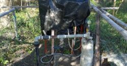 GOOD INVESTMENT FARM PROPERTY FOR SALE IN DAUIN ‼️