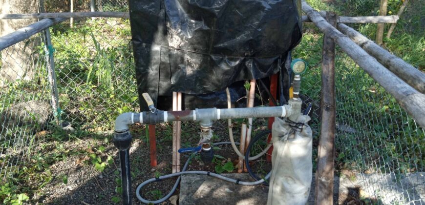 GOOD INVESTMENT FARM PROPERTY FOR SALE IN DAUIN ‼️