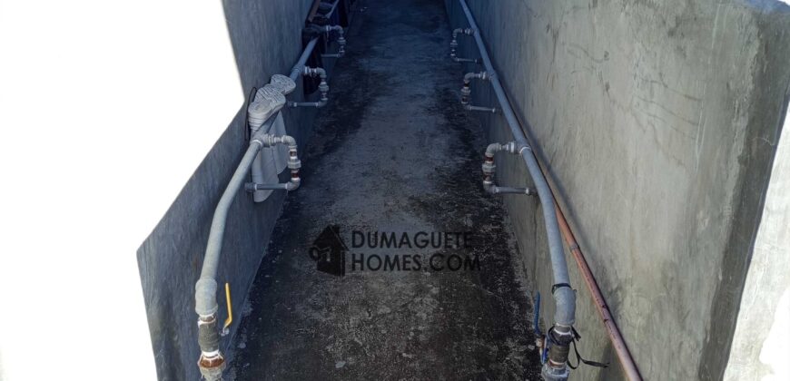 GOOD INVESTMENT FARM PROPERTY FOR SALE IN DAUIN ‼️