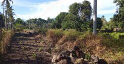 GOOD INVESTMENT FARM PROPERTY FOR SALE IN DAUIN ‼️