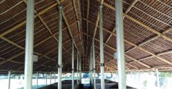 GOOD INVESTMENT FARM PROPERTY FOR SALE IN DAUIN ‼️