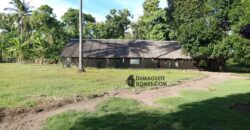 GOOD INVESTMENT FARM PROPERTY FOR SALE IN DAUIN ‼️