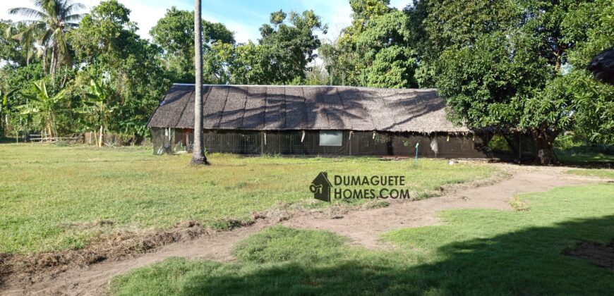 GOOD INVESTMENT FARM PROPERTY FOR SALE IN DAUIN ‼️