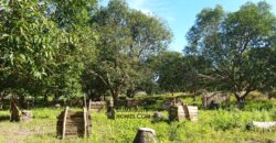 GOOD INVESTMENT FARM PROPERTY FOR SALE IN DAUIN ‼️