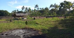 GOOD INVESTMENT FARM PROPERTY FOR SALE IN DAUIN ‼️