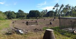 GOOD INVESTMENT FARM PROPERTY FOR SALE IN DAUIN ‼️