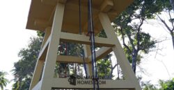 GOOD INVESTMENT FARM PROPERTY FOR SALE IN DAUIN ‼️