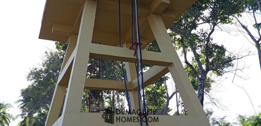 GOOD INVESTMENT FARM PROPERTY FOR SALE IN DAUIN ‼️