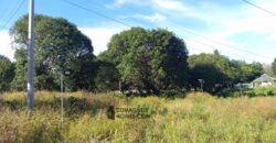 GOOD INVESTMENT FARM PROPERTY FOR SALE IN DAUIN ‼️