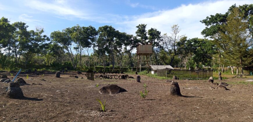 GOOD INVESTMENT FARM PROPERTY FOR SALE IN DAUIN ‼️