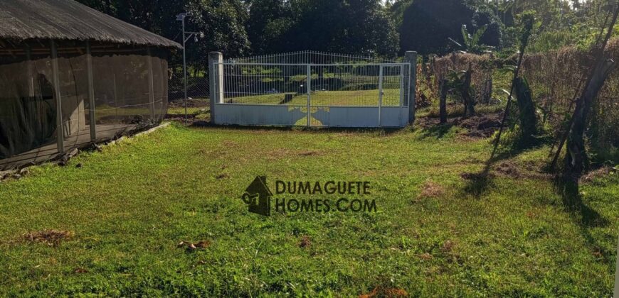 GOOD INVESTMENT FARM PROPERTY FOR SALE IN DAUIN ‼️