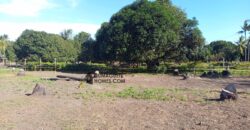 GOOD INVESTMENT FARM PROPERTY FOR SALE IN DAUIN ‼️