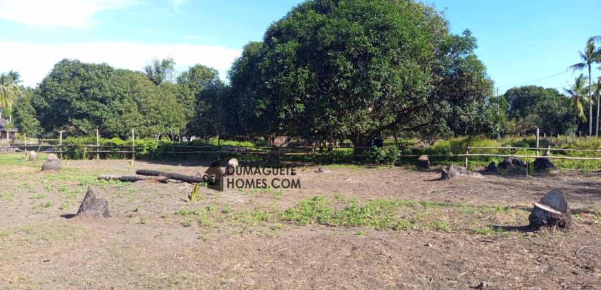 GOOD INVESTMENT FARM PROPERTY FOR SALE IN DAUIN ‼️