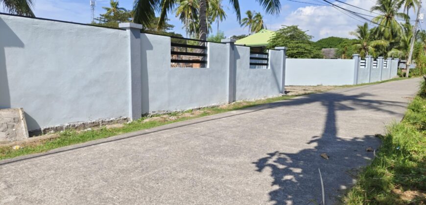 NEW CONSTRUCTION HOME FOR SALE IN ZAMBOANGUITA‼️