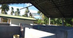 GOOD INVESTMENT FARM PROPERTY FOR SALE IN DAUIN ‼️