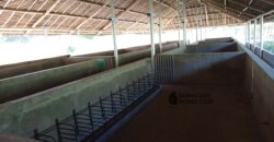 GOOD INVESTMENT FARM PROPERTY FOR SALE IN DAUIN ‼️