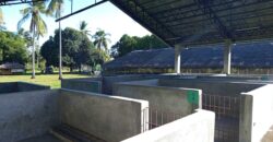 GOOD INVESTMENT FARM PROPERTY FOR SALE IN DAUIN ‼️