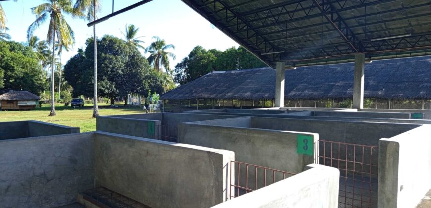 GOOD INVESTMENT FARM PROPERTY FOR SALE IN DAUIN ‼️