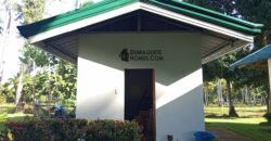 GOOD INVESTMENT FARM PROPERTY FOR SALE IN DAUIN ‼️