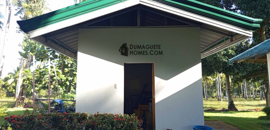 GOOD INVESTMENT FARM PROPERTY FOR SALE IN DAUIN ‼️