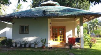 GOOD INVESTMENT FARM PROPERTY FOR SALE IN DAUIN ‼️