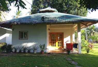 GOOD INVESTMENT FARM PROPERTY FOR SALE IN DAUIN ‼️