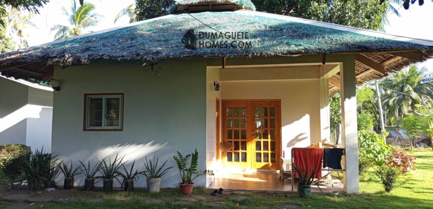 GOOD INVESTMENT FARM PROPERTY FOR SALE IN DAUIN ‼️