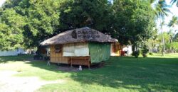 GOOD INVESTMENT FARM PROPERTY FOR SALE IN DAUIN ‼️