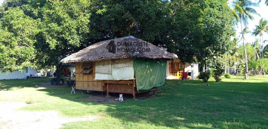 GOOD INVESTMENT FARM PROPERTY FOR SALE IN DAUIN ‼️