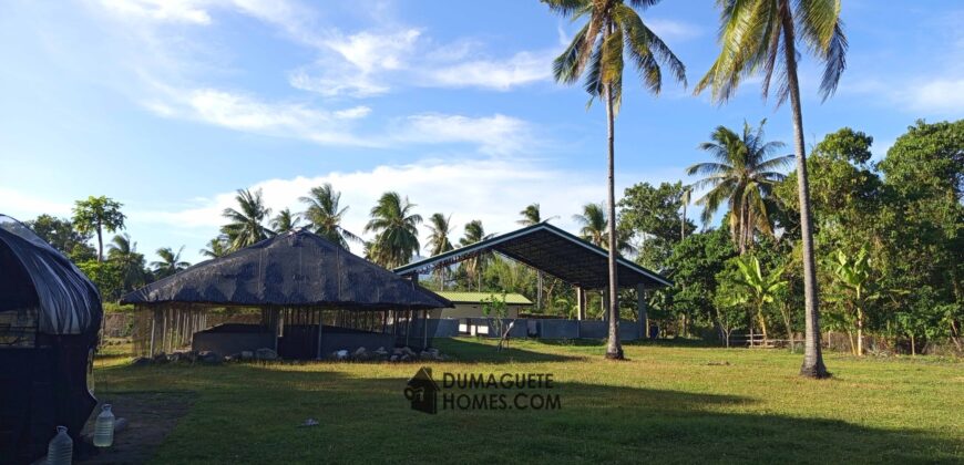 GOOD INVESTMENT FARM PROPERTY FOR SALE IN DAUIN ‼️