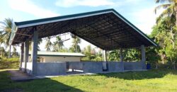 GOOD INVESTMENT FARM PROPERTY FOR SALE IN DAUIN ‼️