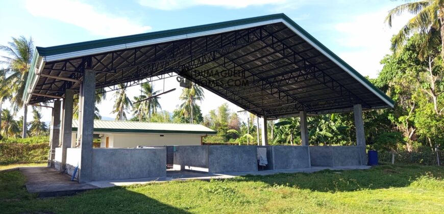 GOOD INVESTMENT FARM PROPERTY FOR SALE IN DAUIN ‼️