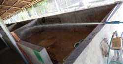 GOOD INVESTMENT FARM PROPERTY FOR SALE IN DAUIN ‼️