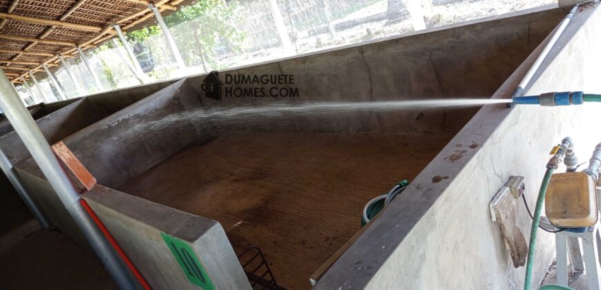 GOOD INVESTMENT FARM PROPERTY FOR SALE IN DAUIN ‼️