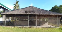 GOOD INVESTMENT FARM PROPERTY FOR SALE IN DAUIN ‼️