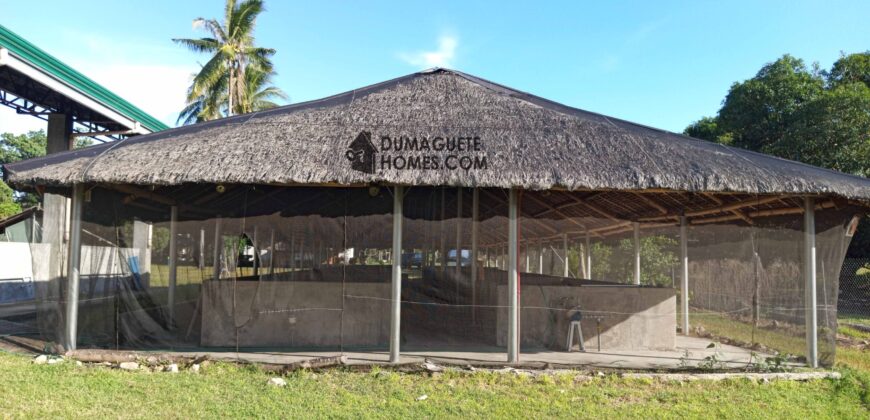 GOOD INVESTMENT FARM PROPERTY FOR SALE IN DAUIN ‼️